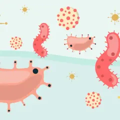 Illustration av olika bakterier och virus. En frisk hals är fri från dessa, medan halsfluss orsakas av dem.