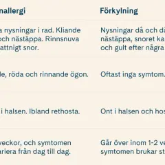 Tabell som jämför pollenallergi och förkylning. Vid pollenallergi kan man få vattnigt, genomskinligt snor. Förkylning ger tjockare snor.