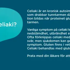Text om celiaki symtom vuxen. Beskriver sjukdomen, vanliga symptom som trötthet och nedstämdhet, samt glutenfri kost som behandling.