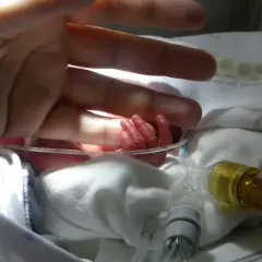 En vuxen hand vilar över en nyfödd bebis hand. Bebisens lilla hand ser ut att ha ett prematurt utseende, omgiven av medicinsk utrustning.