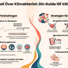 Grafik om klimakteriet, dess faser, symptom som viktuppgång, och strategier för lindring genom träning, egenvård och behandling.