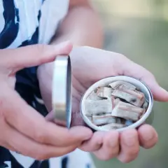 Händerna håller en snusdosa med portionssnus. En klassisk svensk snus hosta kan uppstå efter en prilla.