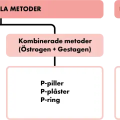 Diagram showing hormonal and non-hormonal contraceptive methods, with categories and examples.