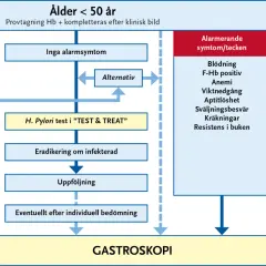 Flödesschema för utredning av magproblem. Vid misstanke om helicobacter pylori kan ett "TEST & TREAT" göras.