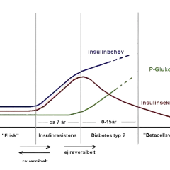 Graf som visar utvecklingen från "frisk" till insulinresistens, pre diabetes, och slutligen typ 2-diabetes. Insulinbehovet ökar, medan insulinsekretionen minskar.