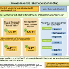Diagram visar läkemedelsbehandling vid diabetes. Basen är Metformin, men vid behov kan man sluta med metformin och välja andra preparat.