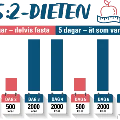 Grafisk illustration av 5:2-dieten: två dagar med begränsat kaloriintag (500 kcal) och fem dagar med normalt intag (2000 kcal).