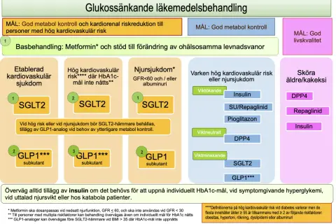 Diagram visar läkemedelsbehandling vid diabetes. Basen är Metformin, men vid behov kan man sluta med metformin och välja andra preparat.