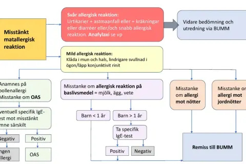 Flödesschema för misstänkt matallergisk reaktion hos barn. Utredning av allergimedicin barn vid misstanke om allergi.
