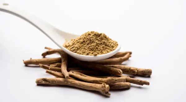 Ashwagandha-rotpulver på en sked över en hög med torkade rötter. Vissa användare rapporterar ashwagandha biverkningar, såsom magbesvär.