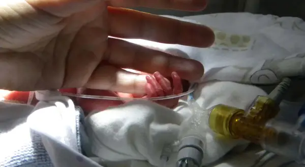 En vuxen hand vilar över en nyfödd bebis hand. Bebisens lilla hand ser ut att ha ett prematurt utseende, omgiven av medicinsk utrustning.