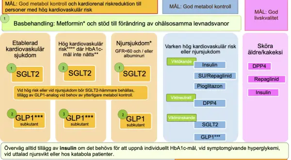 Diagram visar läkemedelsbehandling vid diabetes. Basen är Metformin, men vid behov kan man sluta med metformin och välja andra preparat.