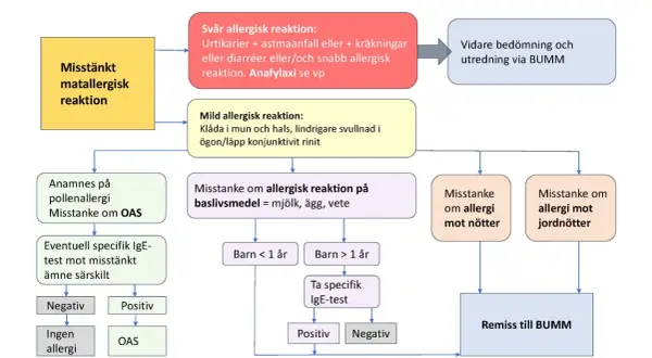 Flödesschema för misstänkt matallergisk reaktion hos barn. Utredning av allergimedicin barn vid misstanke om allergi.