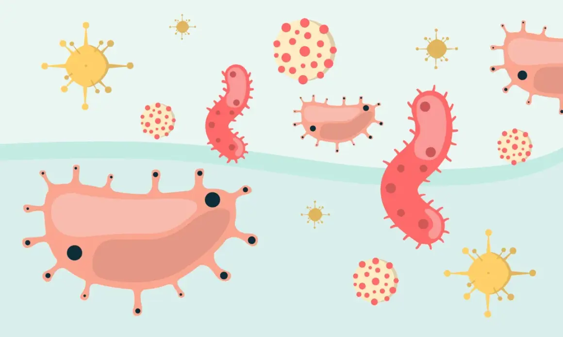 Illustration av olika bakterier och virus. En frisk hals är fri från dessa, medan halsfluss orsakas av dem.