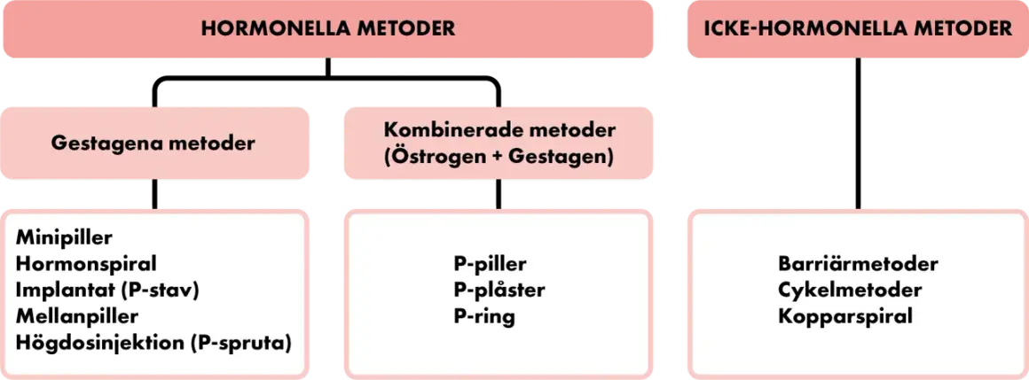 Diagram showing hormonal and non-hormonal contraceptive methods, with categories and examples.