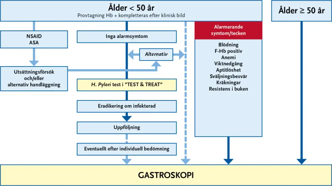 Flödesschema för utredning av magproblem. Vid misstanke om helicobacter pylori kan ett "TEST & TREAT" göras.