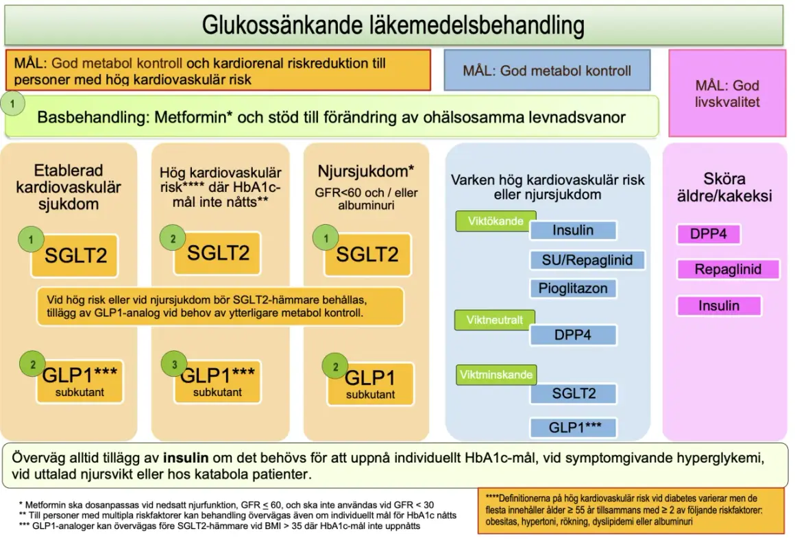 Diagram visar läkemedelsbehandling vid diabetes. Basen är Metformin, men vid behov kan man sluta med metformin och välja andra preparat.