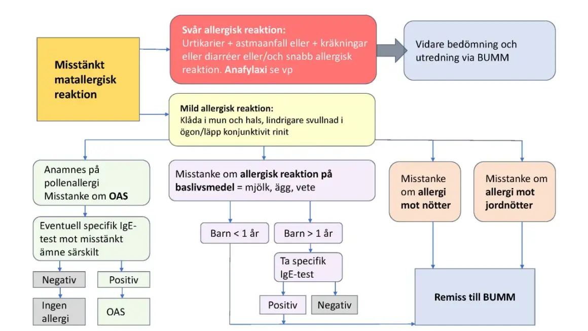 Flödesschema för misstänkt matallergisk reaktion hos barn. Utredning av allergimedicin barn vid misstanke om allergi.