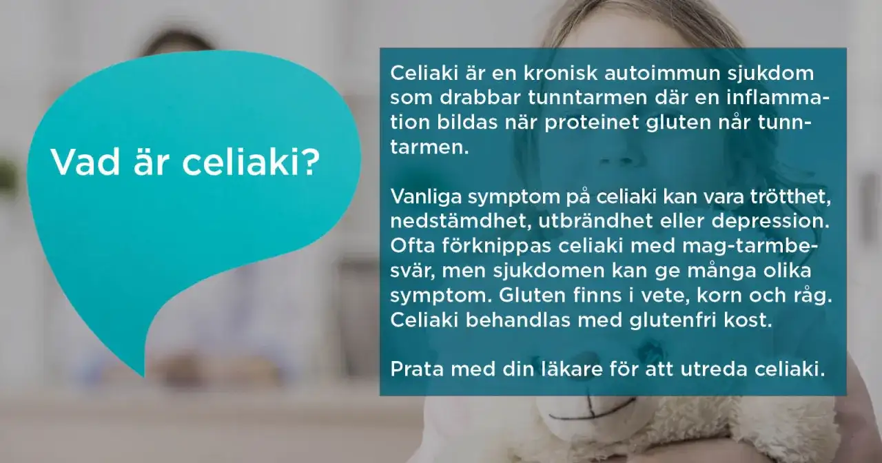 Celiaki, veteallergi eller glutenkänslighet? Så vet du skillnaden