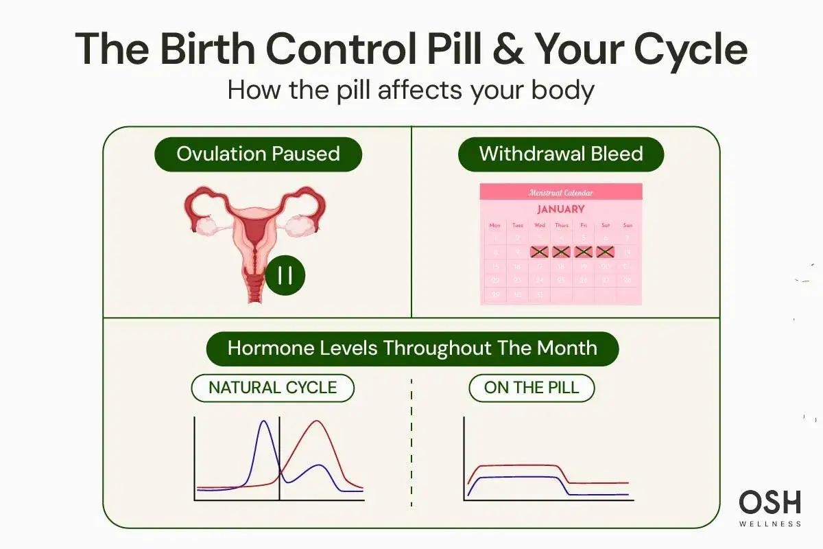 Bild visar hur p-piller påverkar kroppen: ägglossning pausas, oregelbunden blödning och hormonella förändringar. Överväger du att sluta med p-piller?