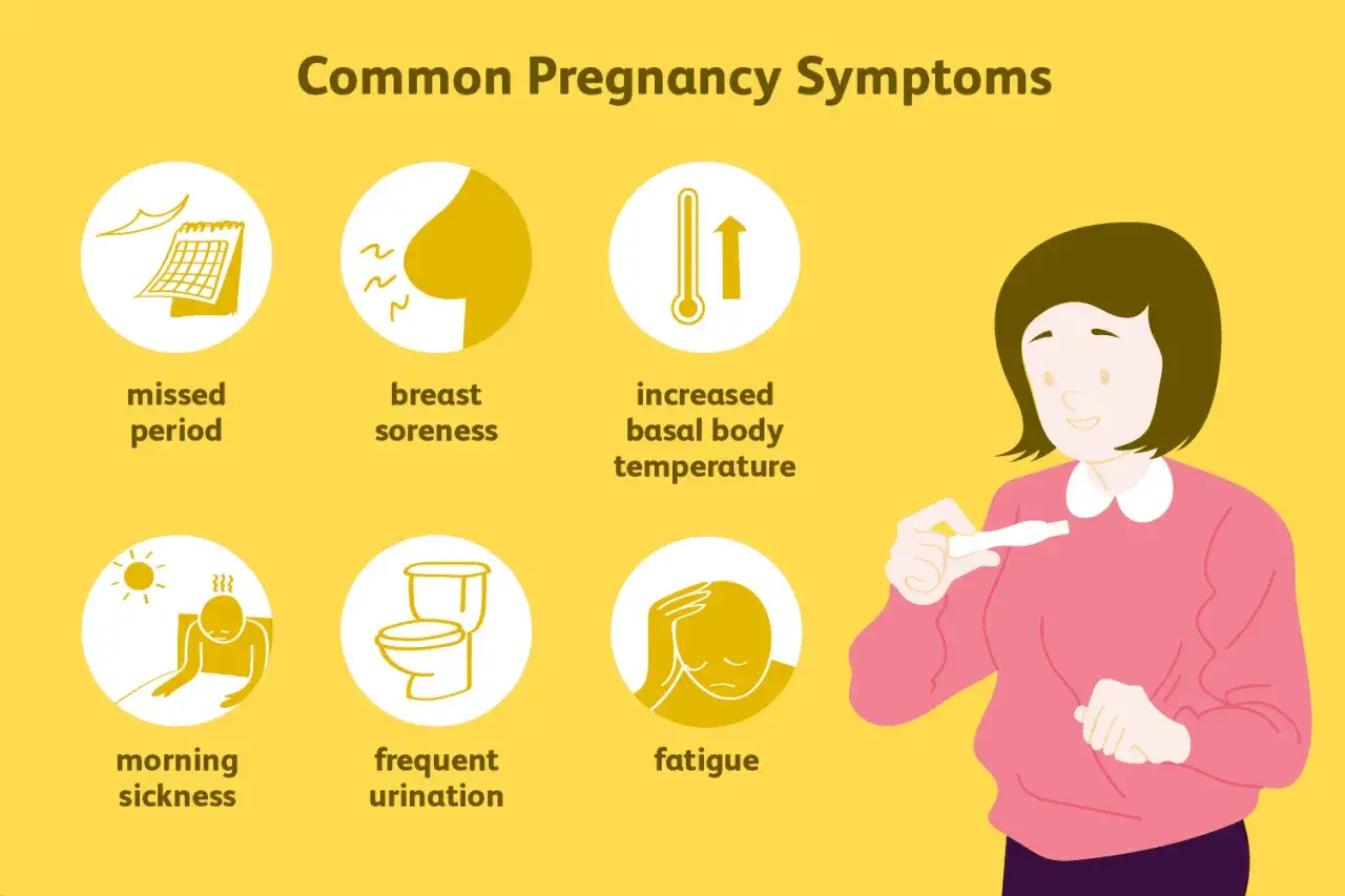 Vanliga gravid symptom: utebliven mens, ömma bröst, feber, morgonillamående, täta toalettbesök och trötthet. En kvinna håller ett graviditetstest.