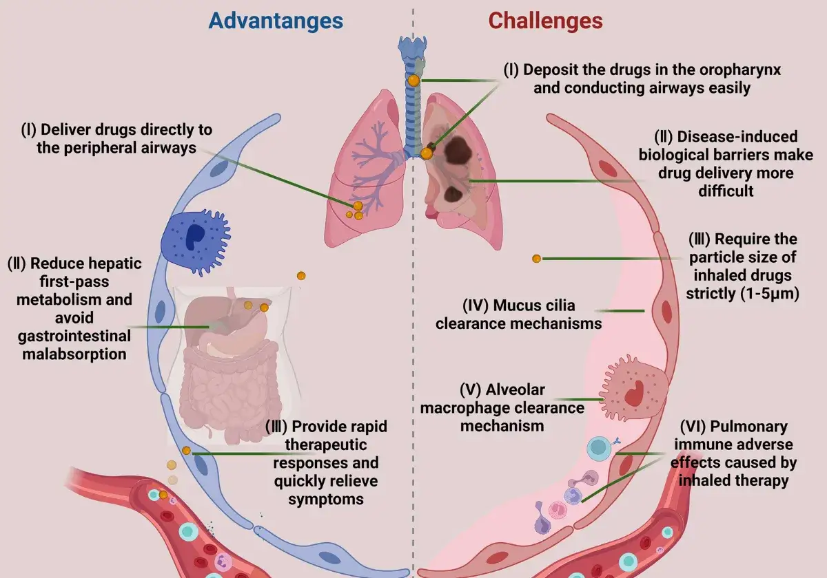 Illustration visar f&ouml;rdelar och utmaningar med inhalerad terapi, relevant f&ouml;r lungfibros behandling.