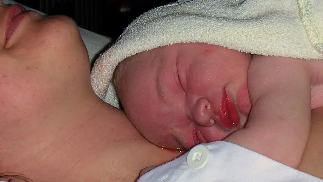 Nyf&ouml;dd bebis vilar mot mammas hals, en lugn stund efter sen avnavling.
