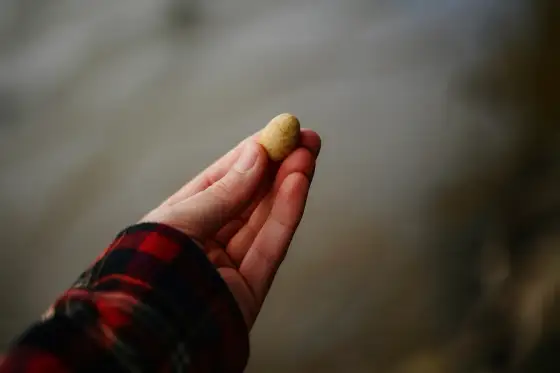 Omeprazol och gallsten - så skiljer du besvären åt