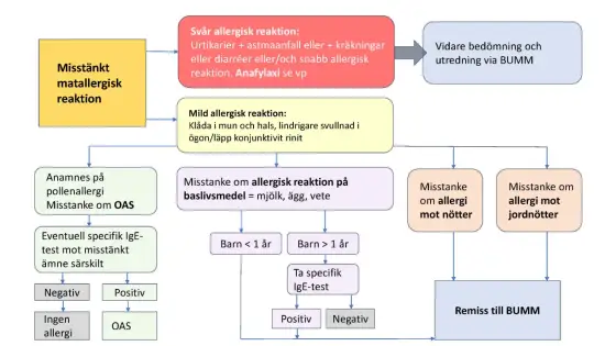 Allergibesvär barn - Välj rätt medicin & undvik misstag