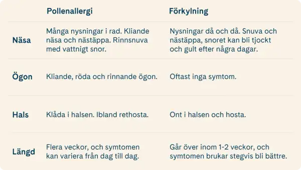 Tabell som jämför pollenallergi och förkylning. Vid pollenallergi kan man få vattnigt, genomskinligt snor. Förkylning ger tjockare snor.