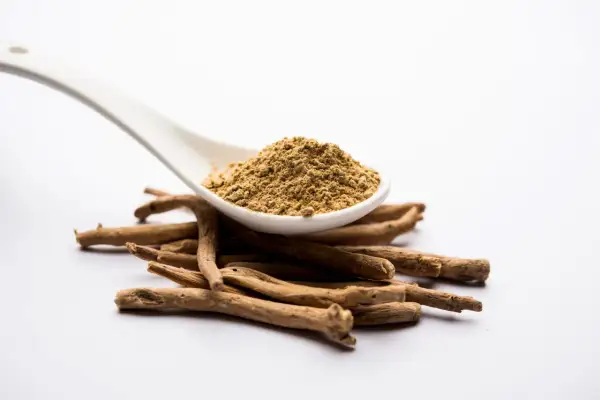 Ashwagandha-rotpulver på en sked över en hög med torkade rötter. Vissa användare rapporterar ashwagandha biverkningar, såsom magbesvär.