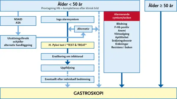 Flödesschema för utredning av magproblem. Vid misstanke om helicobacter pylori kan ett "TEST & TREAT" göras.